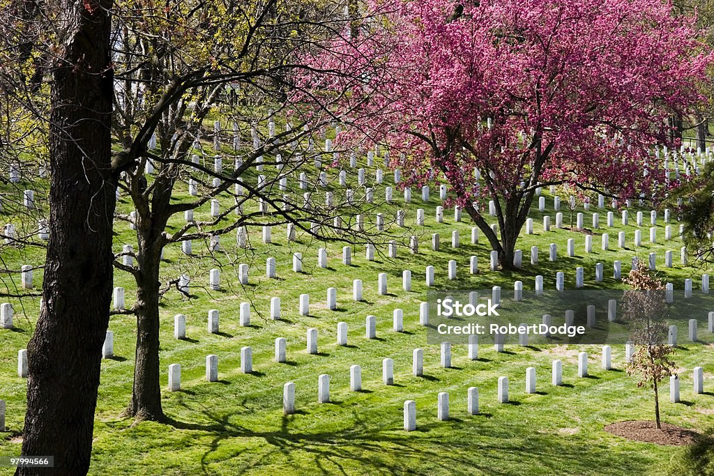 Arlington National Cemetary - Royalty-free Veteraan Stockfoto