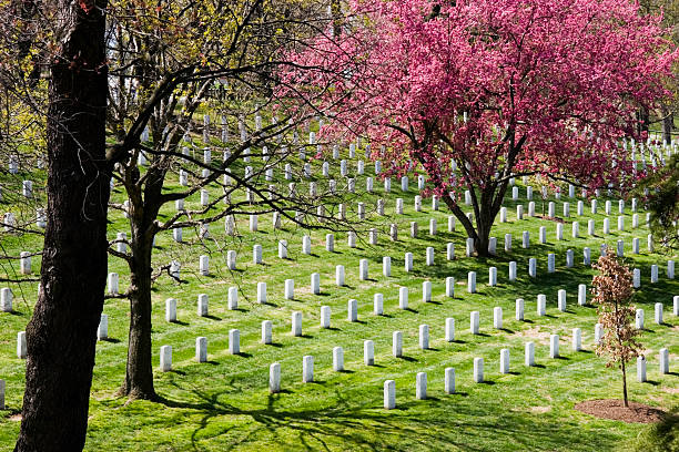 istock Arlington National Cemetary 97994566