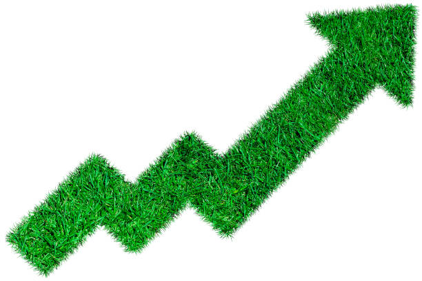 istock growth diagram of grass on white background 979946146