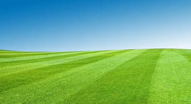 Photo of Field With Blue Sky