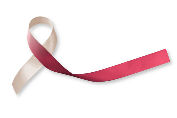 Head and neck cancer awareness with burgundy ivory ribbon isolated on clipping path white background, symbolic bow color for Oral Squamous Cell Carcinoma, Throat, Laryngeal, Pharyngeal Cancer Head and neck cancer awareness with burgundy ivory ribbon isolated on clipping path white background, symbolic bow color for Oral Squamous Cell Carcinoma, Throat, Laryngeal, Pharyngeal Cancer epithelium photos stock pictures, royalty-free photos & images