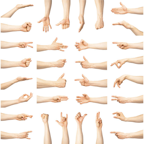 istock Multiple male caucasian hand gestures isolated over the white background 979958014