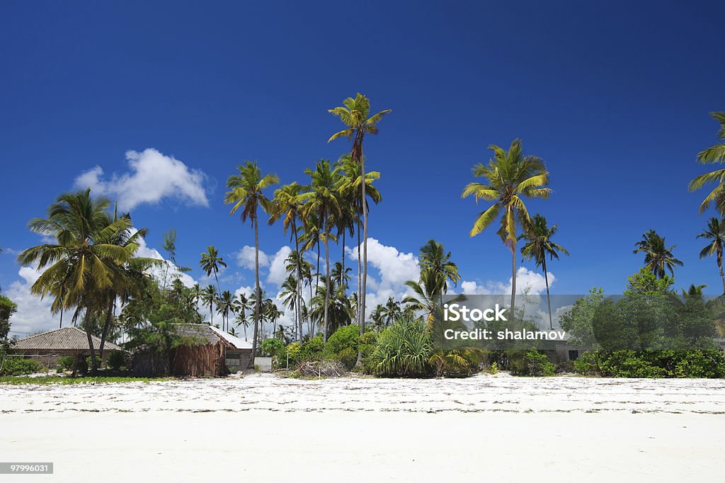 Tropical beach - Royalty-free Aan de kant van Stockfoto