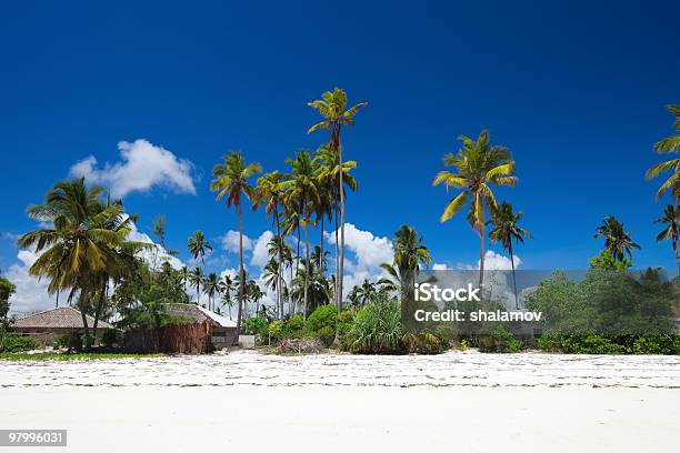 Tropical Beach Stockfoto en meer beelden van Aan de kant van - Aan de kant van, Blauw, Buitenopname