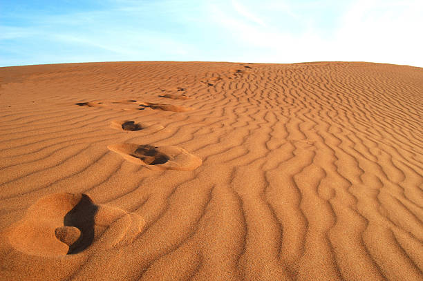 Sand dunes and feet in the desert