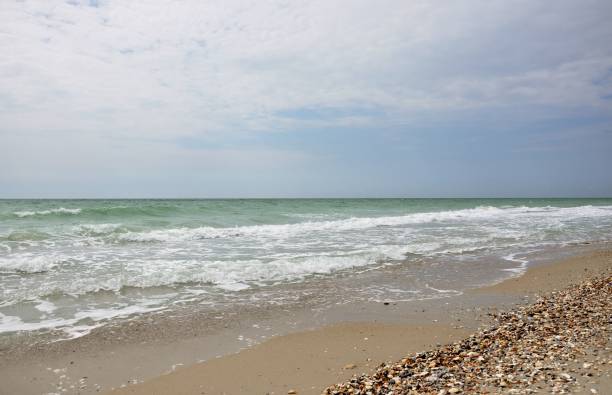 istock Sea beach rest vacation summer Ukraine wave Black Sea 979961714