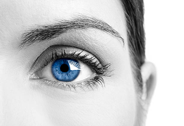 Blue eye Close-up portrait of a beautiful female blue eye blue eyes stock pictures, royalty-free photos & images