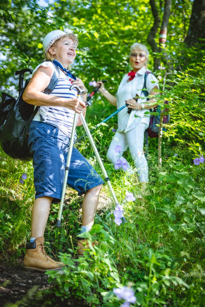 istock Women with backpacks hiking in woods 979967242