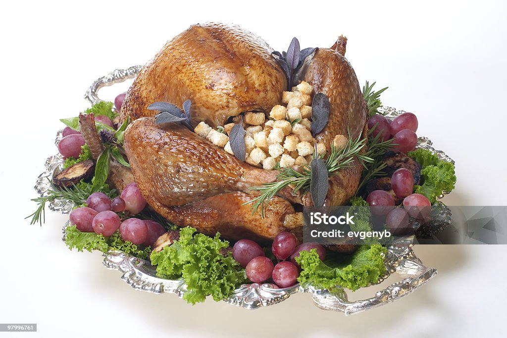 Holiday turkey on white  Color Image Stock Photo