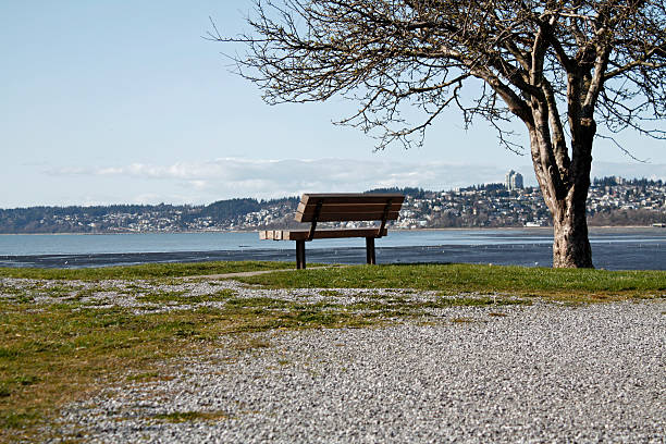 istock Blaine Washington with White Rock British Columbia Canada in background 97996764