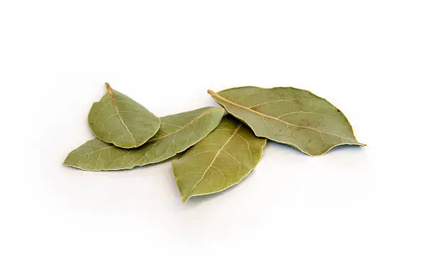 Photo of Dry bay leaves on white