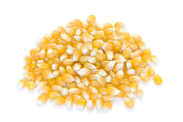 istock Pile of yellow popcorn on white 97997163