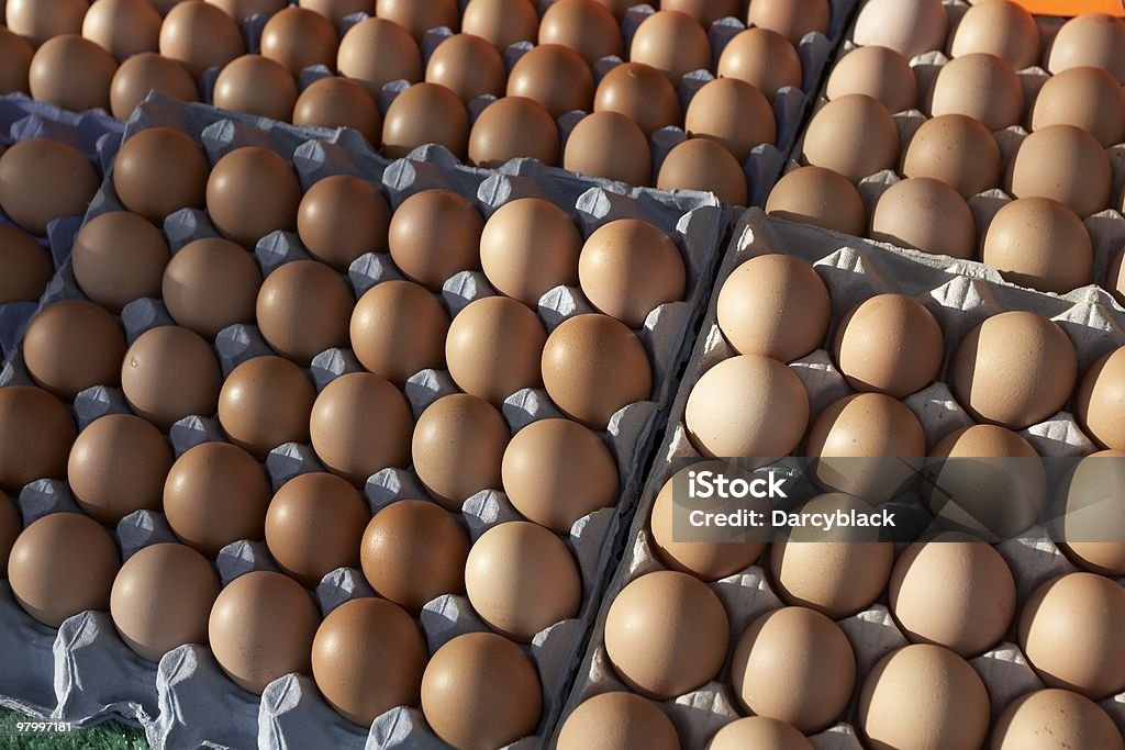 Cages d'œufs - Photo de Aliment libre de droits