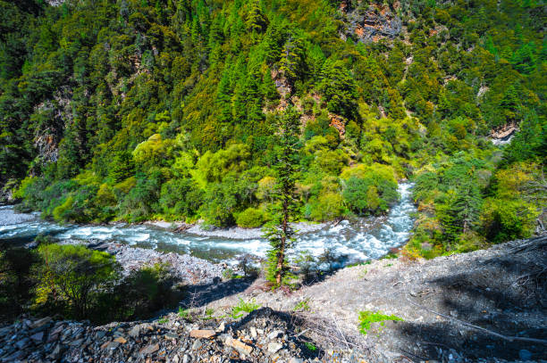 istock Outdoors long exposure flowing water photography 979980154
