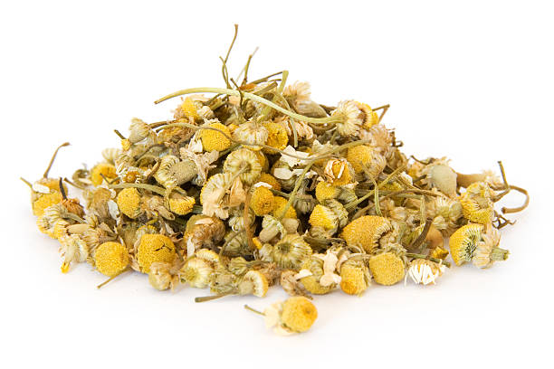 Pile of chamomile on white  chamomile plant stock pictures, royalty-free photos & images