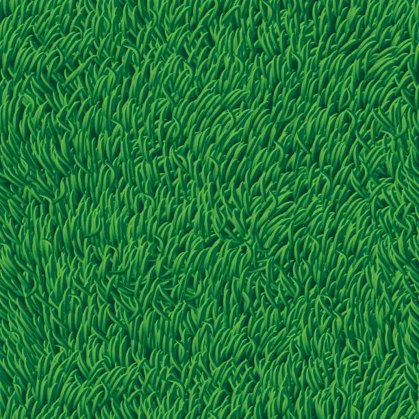 Vector illustration of Grass - seamless (high detail)