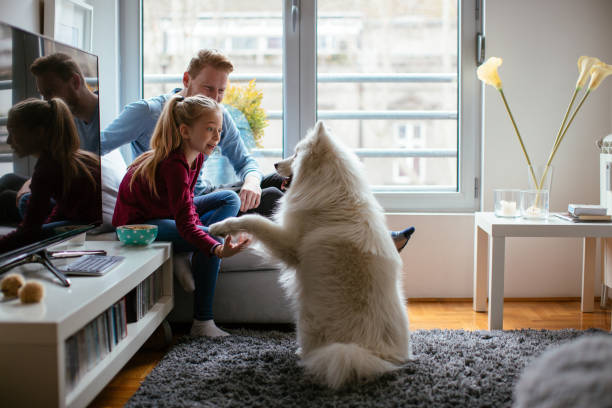 istock Dad and daughter having fun with dog 980001296