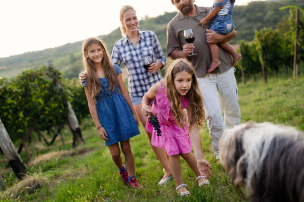 istock Happy family enjoys walk in vineyard 980001574