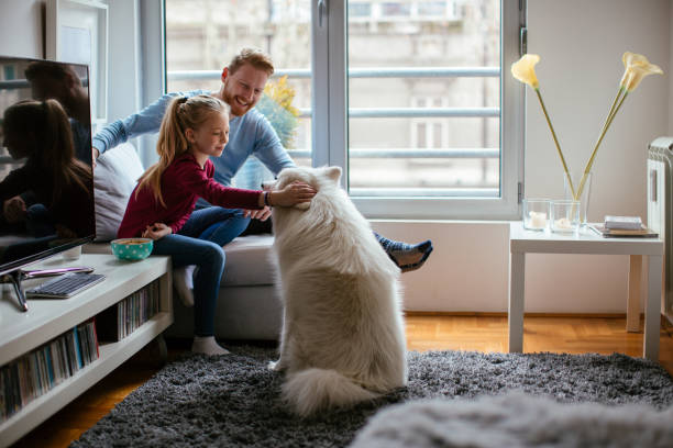 istock Single dad playing with his daughter and dog 980007668