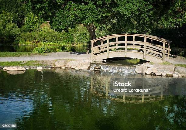 Park Ponte - Fotografie stock e altre immagini di Acqua - Acqua, Albero, Ambientazione esterna