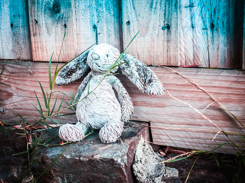 Forgotten old and dirty torn Easter bunny soft toy in the grass
