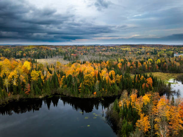 istock Aerial view of a forest and water in fall 980032088