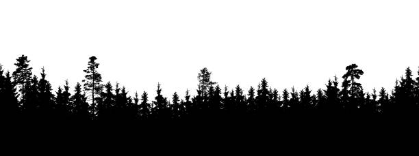 istock Seamless, wide silhouette of tree and forest peaks - isolated on white background, vector 980032096
