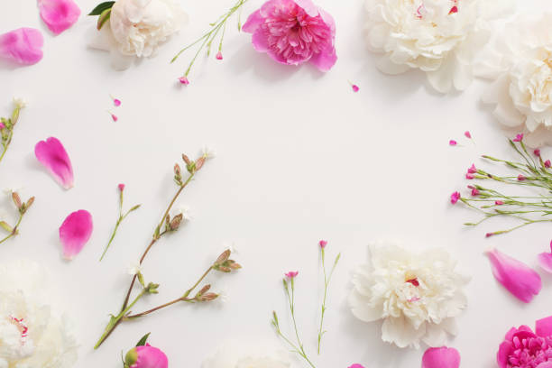 istock summer flowers on white paper background 980038784