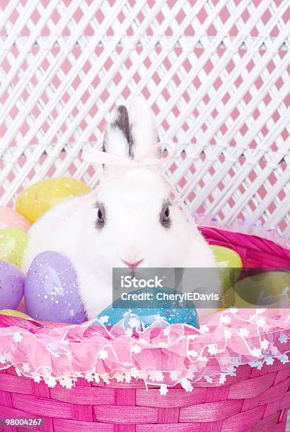 Coniglio Bianco Con Le Uova Di Pasqua Nel Cestello - Fotografie stock e altre immagini di Addomesticato - Addomesticato, Animale, Animale da compagnia