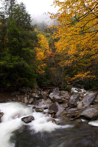 istock Autumn Flowing Water Great Smoky Mountains 98004837