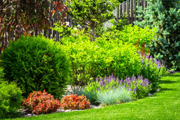 裏庭の花の庭 - fence formal garden gardening ornamental garden ストックフォトと画像