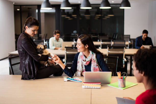 istock Young entrepreneurs working in open space with a dog 980066796