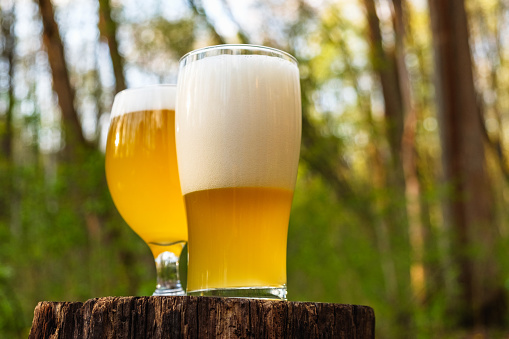 Two glass of cold beer on nature tree park background in forest