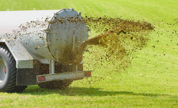 istock agriculture with tractor and fertilization with manure on field 980071552