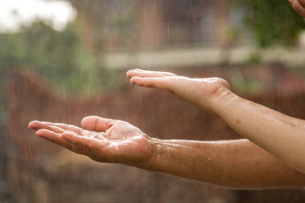 Hand under rain water Kid enjoying rain drops with grand father monsoon stock pictures, royalty-free photos & images