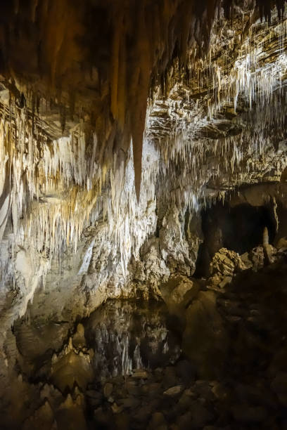 istock Waitomo glowworm caves, New Zealand 980074560
