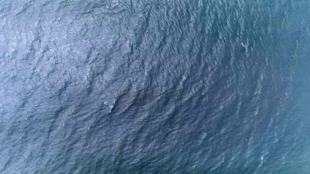Calm ocean surface background, loopable, aerial view