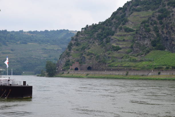 istock rhine valley view in rainy summer day 980090976