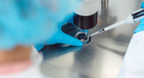 istock Woman scientist working with pipette in laboratory 980091898