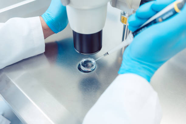 istock Woman scientist working with pipette in laboratory 980092060