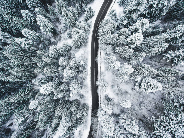 istock Winter Road trough a forest with trees covered in snow 980092444