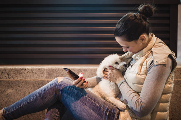 istock Young woman with dog using smart phone on bench 980092552