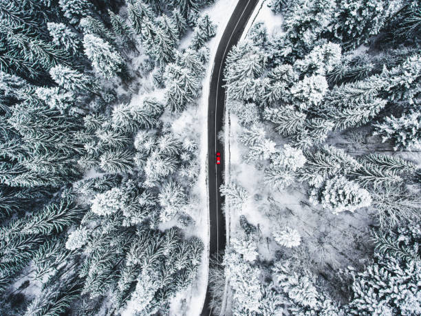 istock Car on road in winter trough a forest covered with snow 980092590