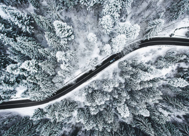 istock Car on road in winter trough a forest covered with snow 980094764