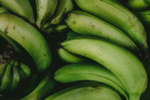 Green banana background