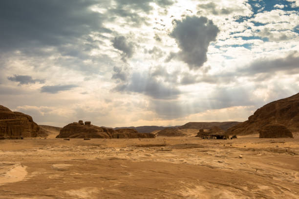 istock Gold arid desert landscape Sinai, Egypt 980109152