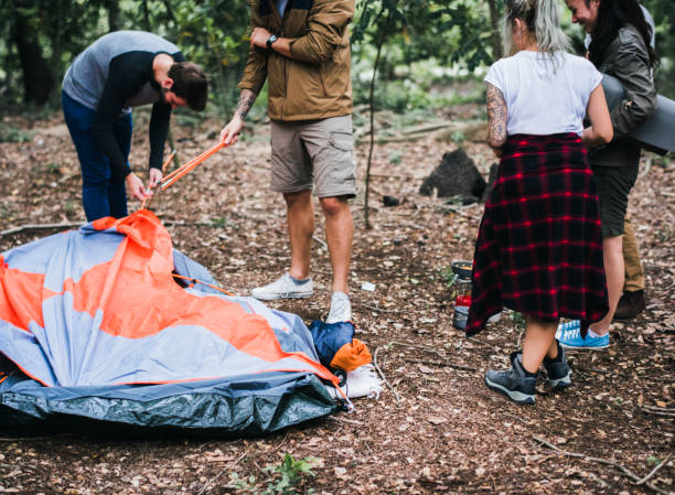 istock Friends camping in the forest together 980110132