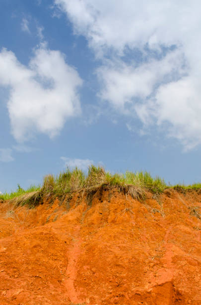 istock A cut of soil with different layers visible and grass on top 980110394