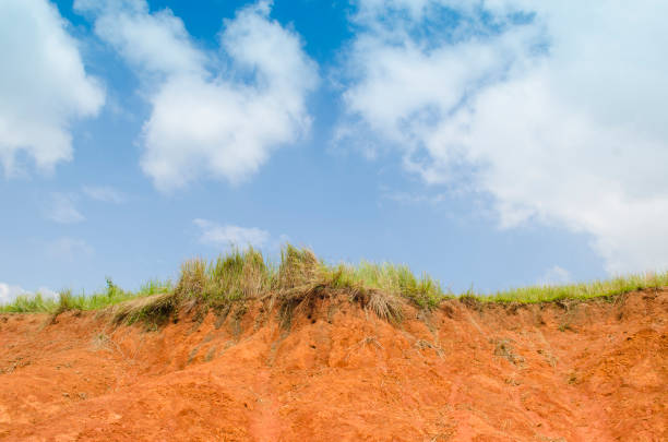 istock A cut of soil with different layers visible and grass on top 980111210
