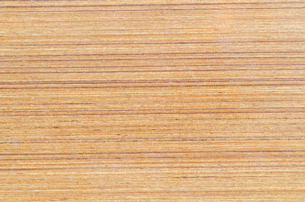 istock Texture of wood background closeup 980113892